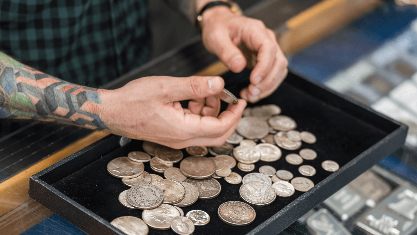 Coin grading professional grading silver coins